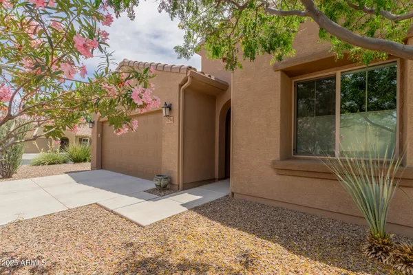 a view of backyard with potted plants and a large tree