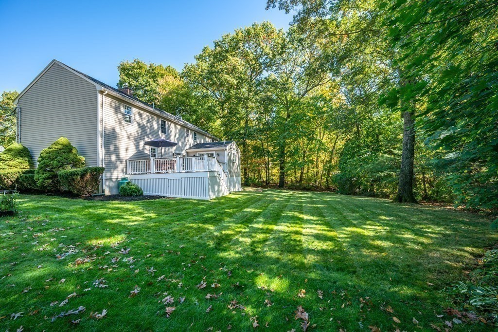 119 Gayland Road Needham, MA 02492 - Photo 38 of 42 a view of a backyard with plants and large trees