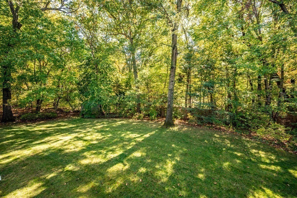119 Gayland Road Needham, MA 02492 - Photo 39 of 42 a view of a yard with a tree