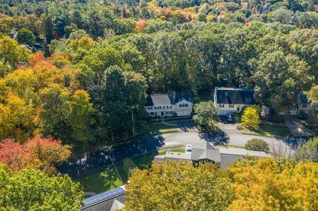 119 Gayland Road Needham, MA 02492 - Photo 42 of 42 a white house with a yard and a large tree