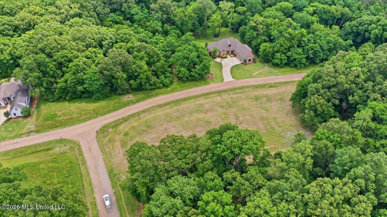 177 Chestnut Hill Road Flora, MS 39071 - Photo 24 of 28 24-Chestnut Hill Entrance _ Hometoursms.
