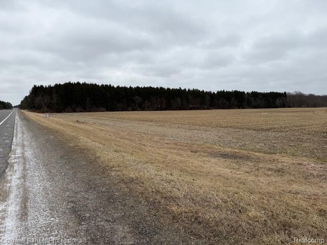 Vl North Branch Road North Branch, MI 48461 - Photo 3 of 5