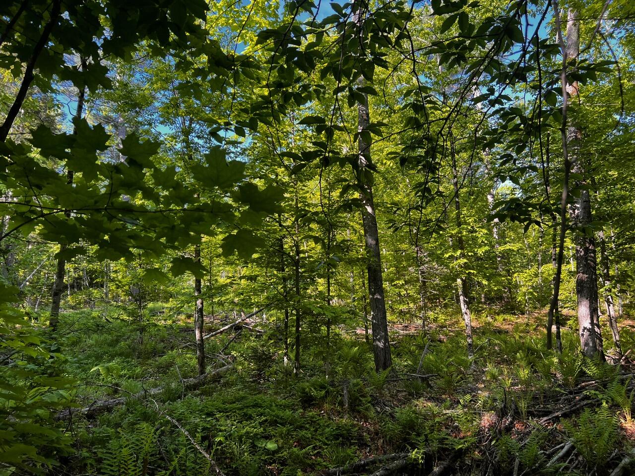 39 East Pond Road Oakland, ME 04963 - Photo 11 of 15 IMG_6855
