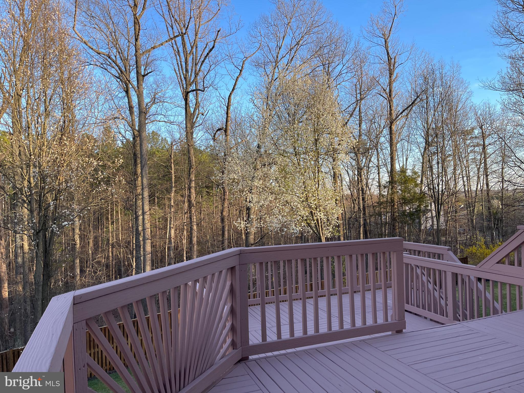 8695 Ruby Rise Place Bristow, VA 20136 - Photo 11 of 37 Deck View