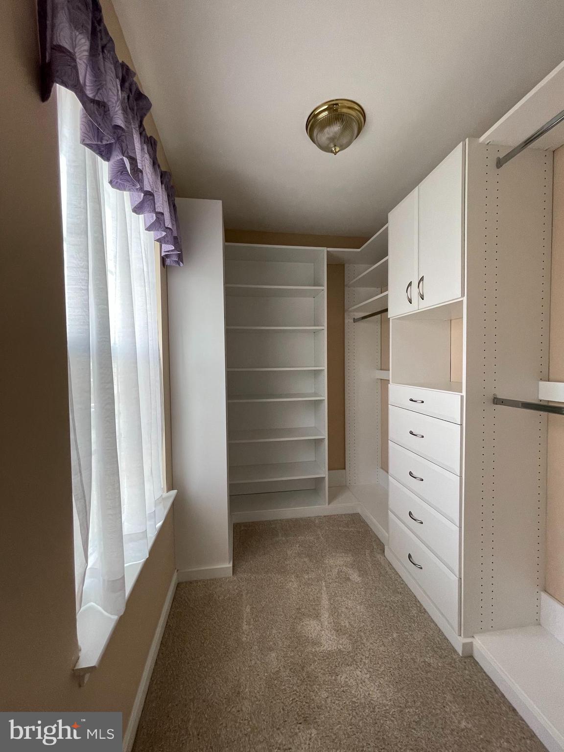 8695 Ruby Rise Place Bristow, VA 20136 - Photo 24 of 37 Master Closet x1