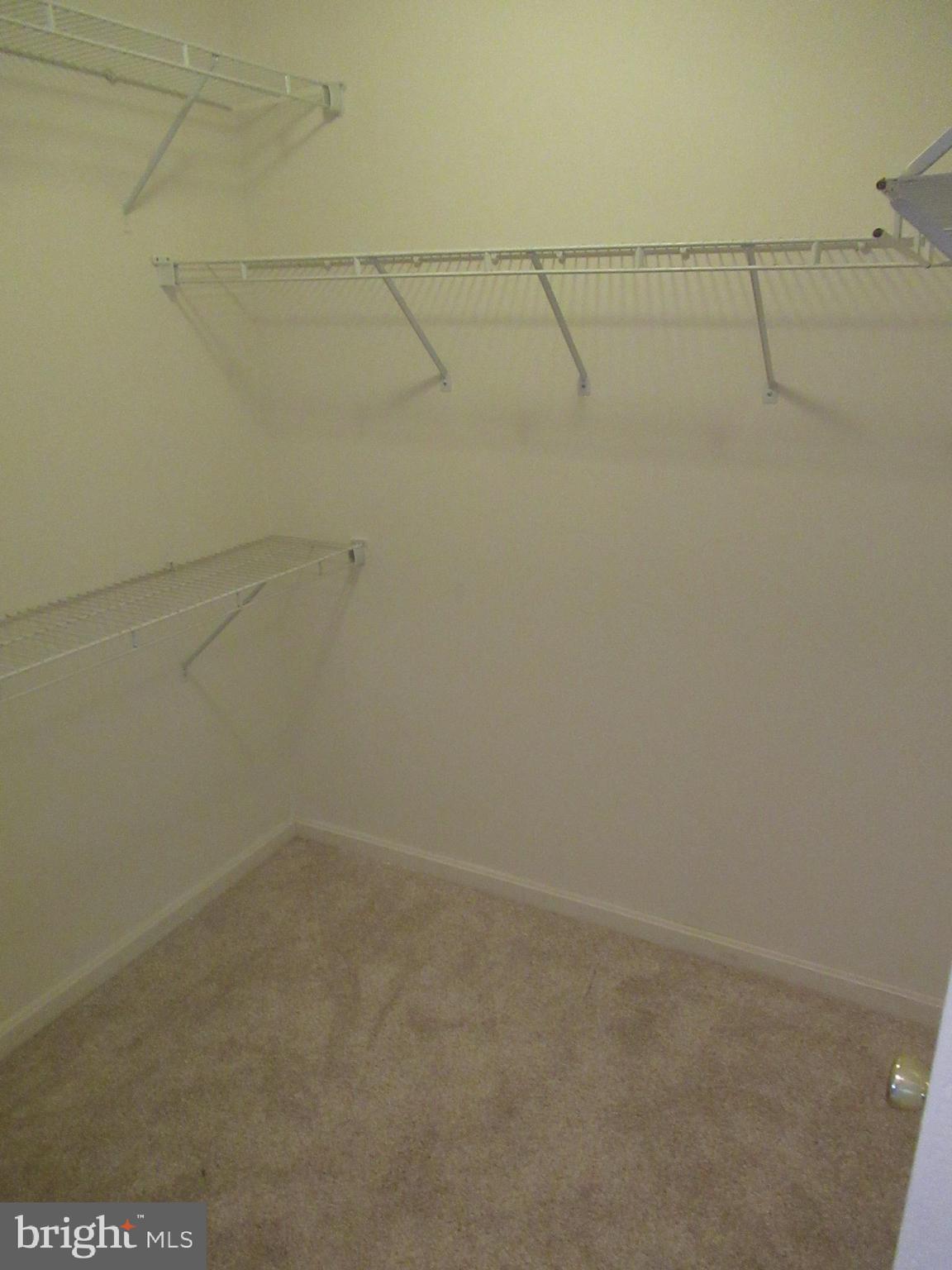 8695 Ruby Rise Place Bristow, VA 20136 - Photo 25 of 37 Master Closet x2