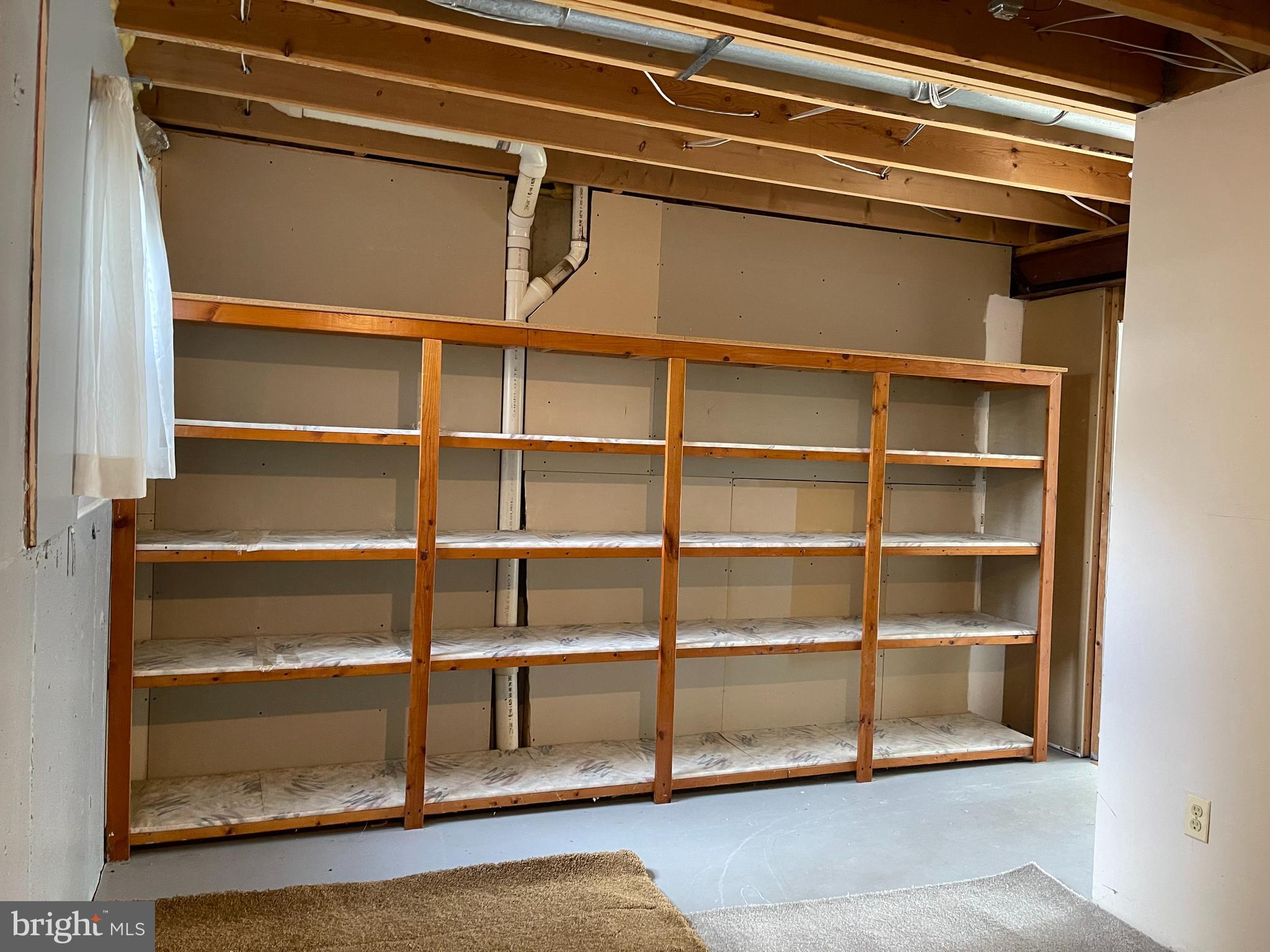 8695 Ruby Rise Place Bristow, VA 20136 - Photo 34 of 37 Basement Shelving Area
