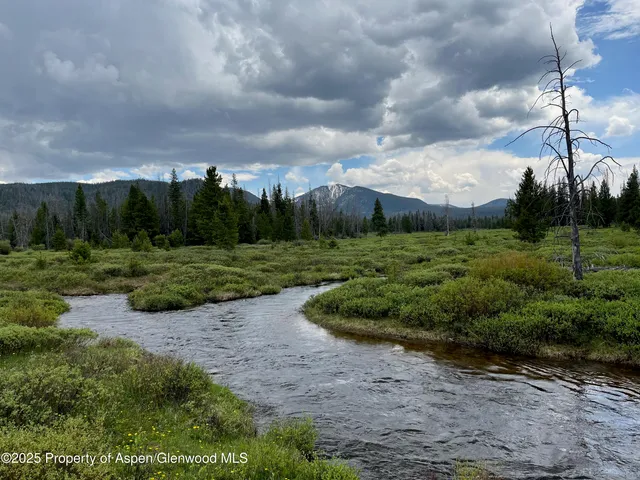 a view of a lake from a yard
