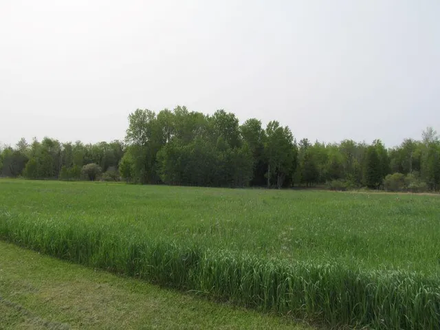 $24,900 | Lot #8 Hemlock Street, McBain, MI 49657