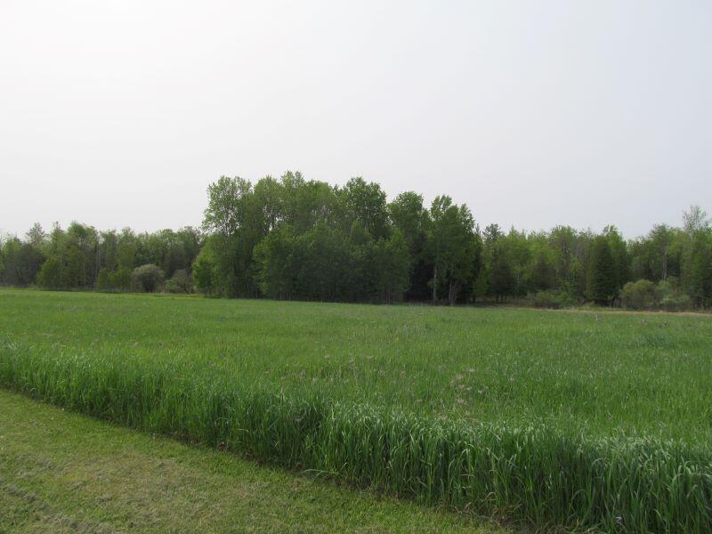 Lot #8 Hemlock Street McBain, MI 49657 - Photo 11 of 21 b12