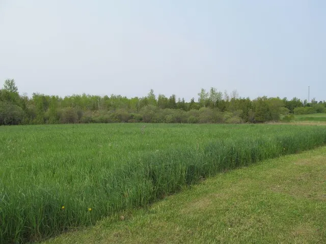 $24,900 | Lot #8 Hemlock Street, McBain, MI 49657