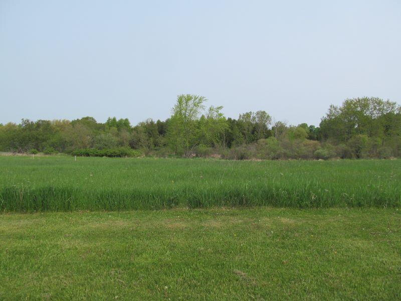 Lot #8 Hemlock Street McBain, MI 49657 - Photo 14 of 21 b15