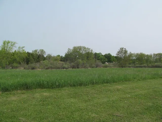 $24,900 | Lot #8 Hemlock Street, McBain, MI 49657