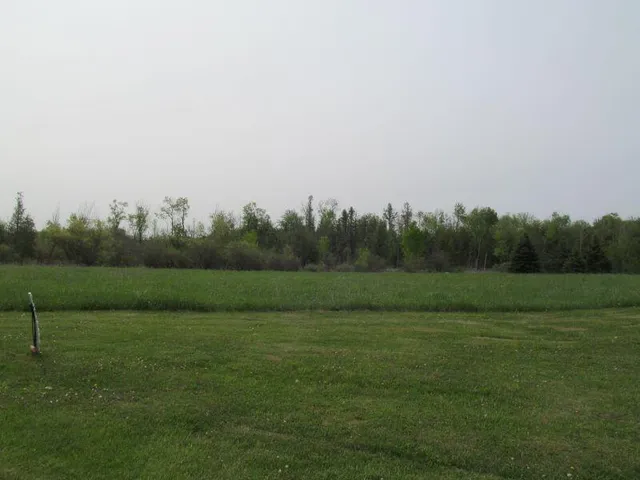 $24,900 | Lot #8 Hemlock Street, McBain, MI 49657