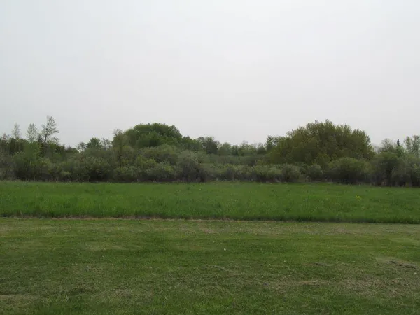 $24,900 | Lot #8 Hemlock Street, McBain, MI 49657