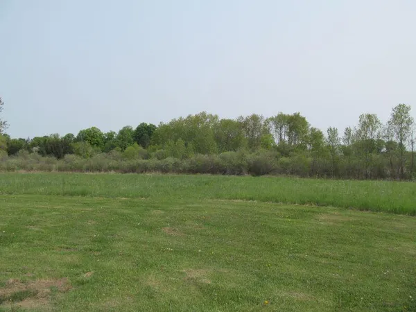 $24,900 | Lot #8 Hemlock Street, McBain, MI 49657