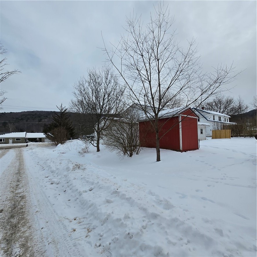 4461 Brady Hill Road Conklin, NY 13903 - Photo 11 of 37 Backyard/side