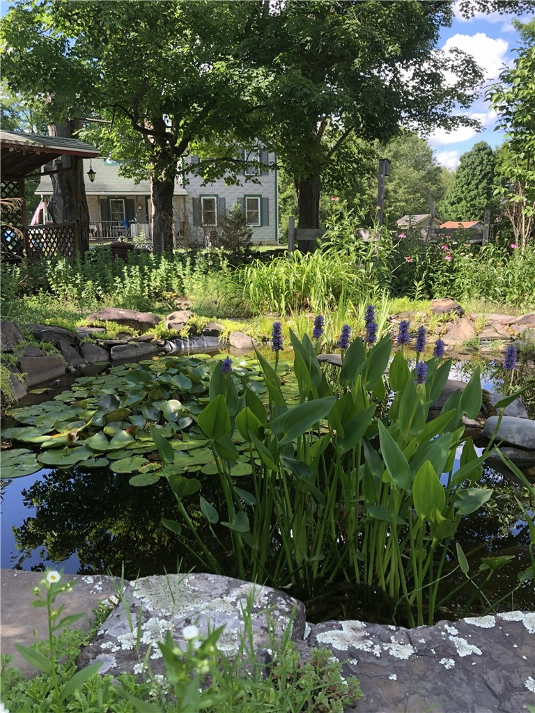 4461 Brady Hill Road Conklin, NY 13903 - Photo 36 of 37 Pond (Back)