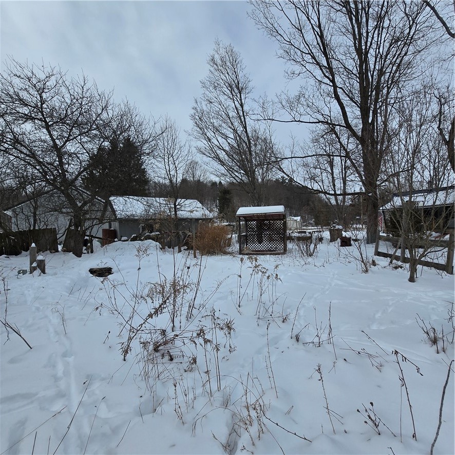 4461 Brady Hill Road Conklin, NY 13903 - Photo 5 of 37 Backyard