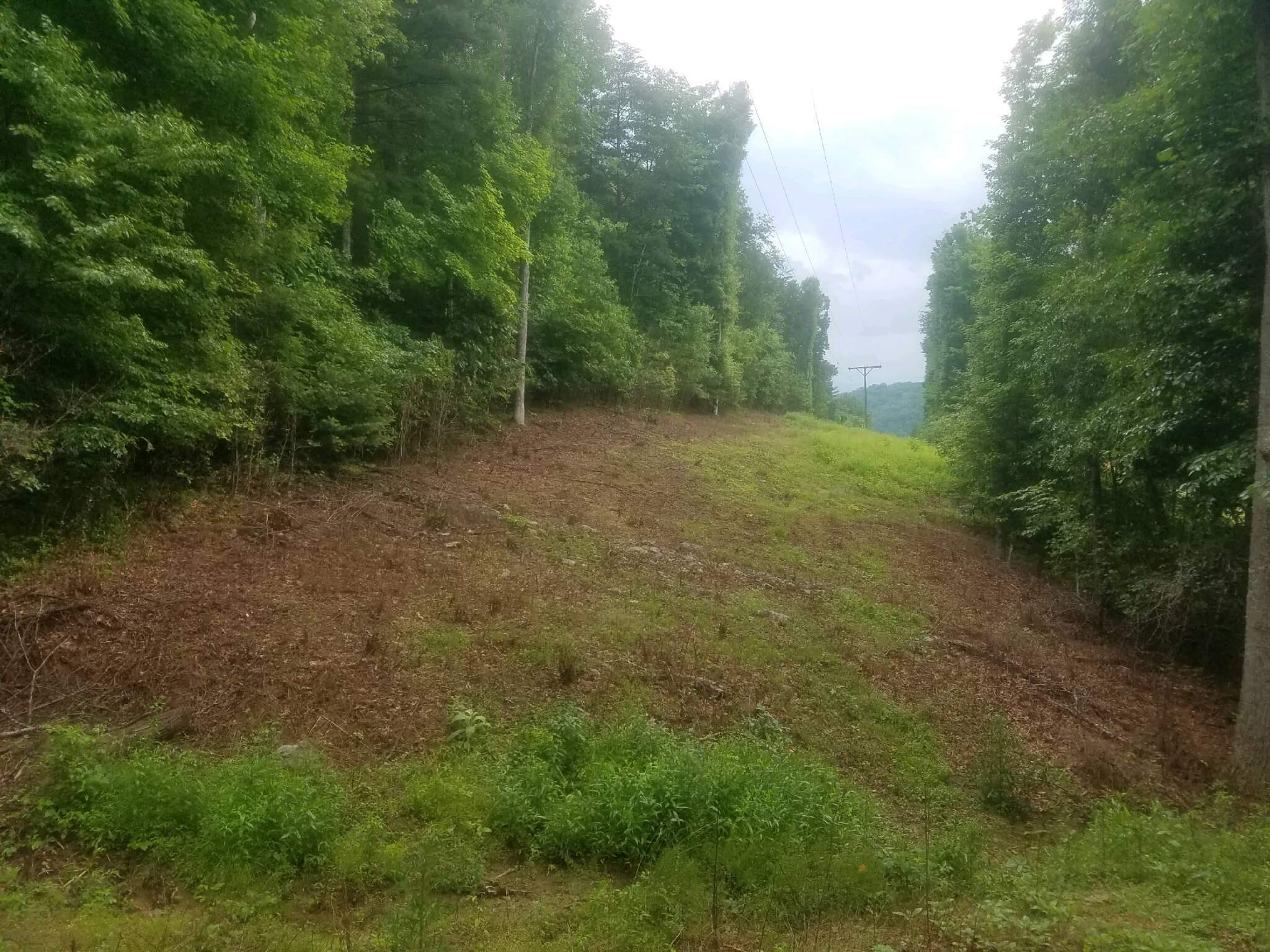 62-1 Hoke's Mill Road Ronceverte, WV 24970 - Photo 9 of 18 Gallery Image 9
