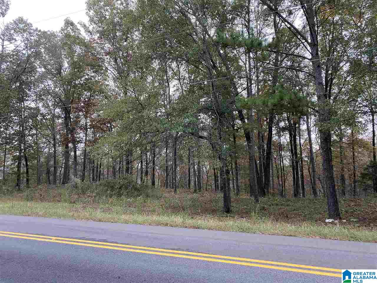 975 Deer Trace Road Pell City, AL 35125 - Photo 1 of 5