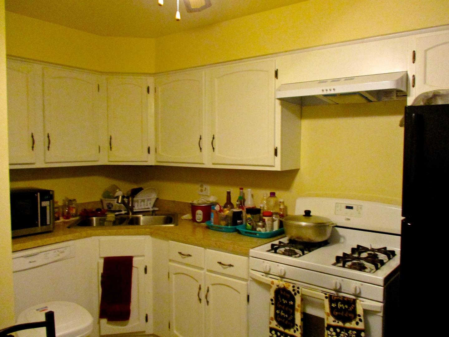 225 North Gregory Street, Unit 6 Aurora, IL 60504 - Photo 3 of 10