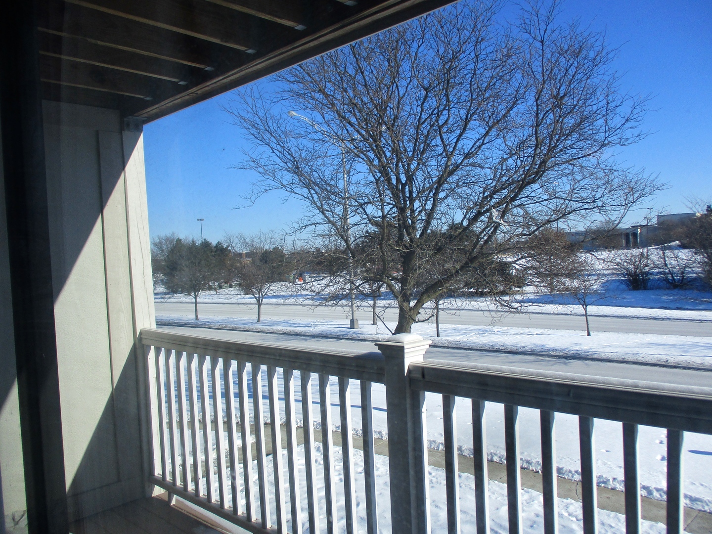 225 North Gregory Street, Unit 6 Aurora, IL 60504 - Photo 5 of 10