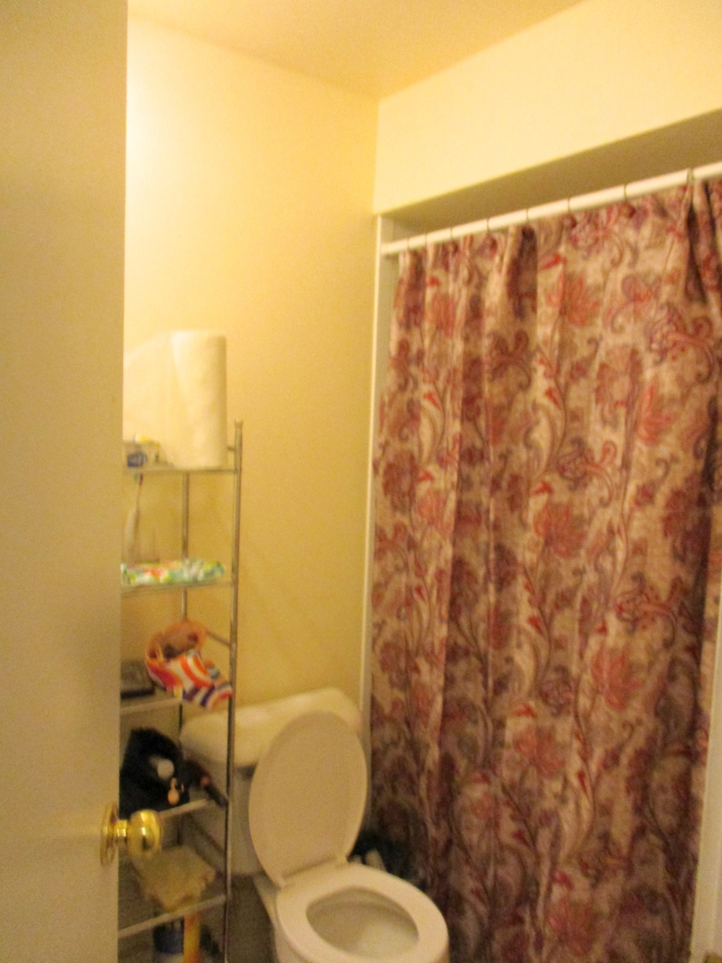 225 North Gregory Street, Unit 6 Aurora, IL 60504 - Photo 8 of 10