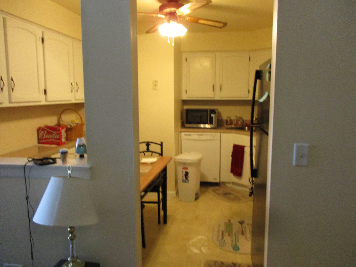 225 North Gregory Street, Unit 6 Aurora, IL 60504 - Photo 10 of 10