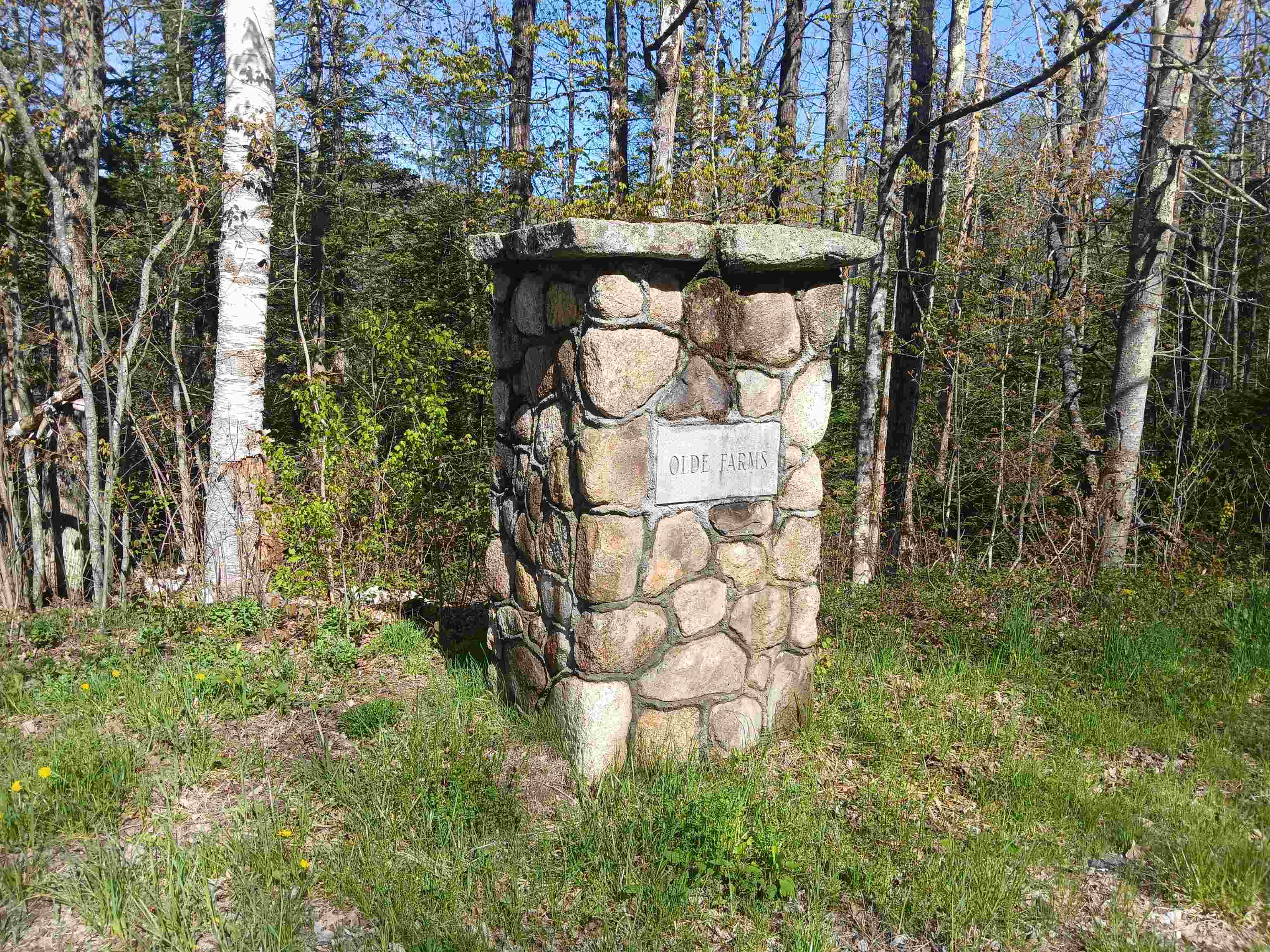 224 Walker Road Grantham, NH 03753 - Photo 6 of 53