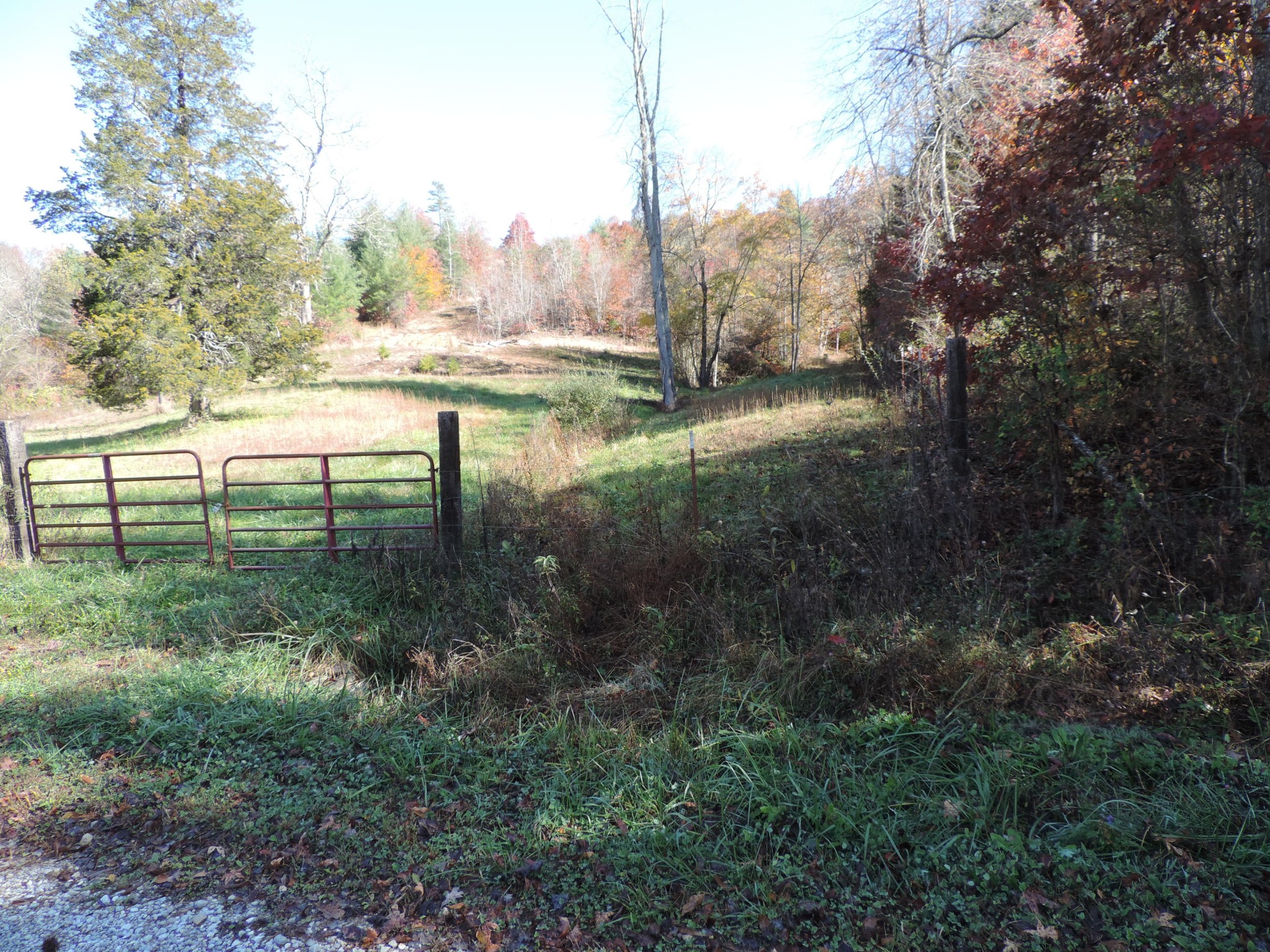 0 Phillips Cemetery Road Helenwood, TN 37755 - Photo 1 of 20 Gallery Image 1
