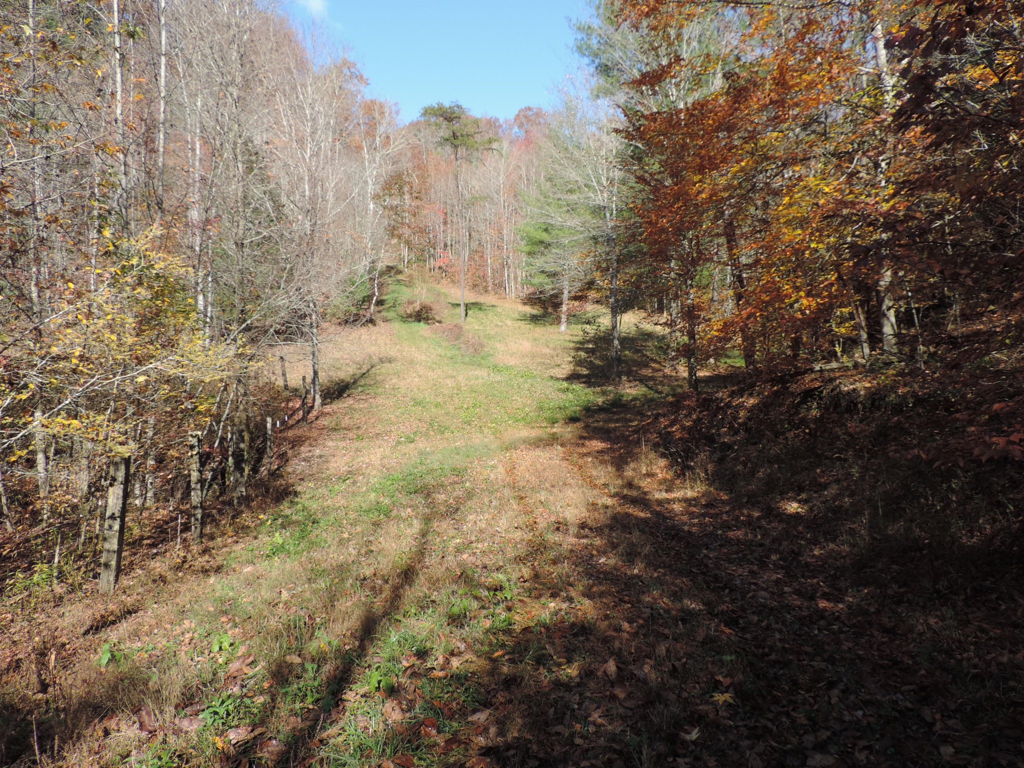 0 Phillips Cemetery Road Helenwood, TN 37755 - Photo 7 of 20 Gallery Image 7