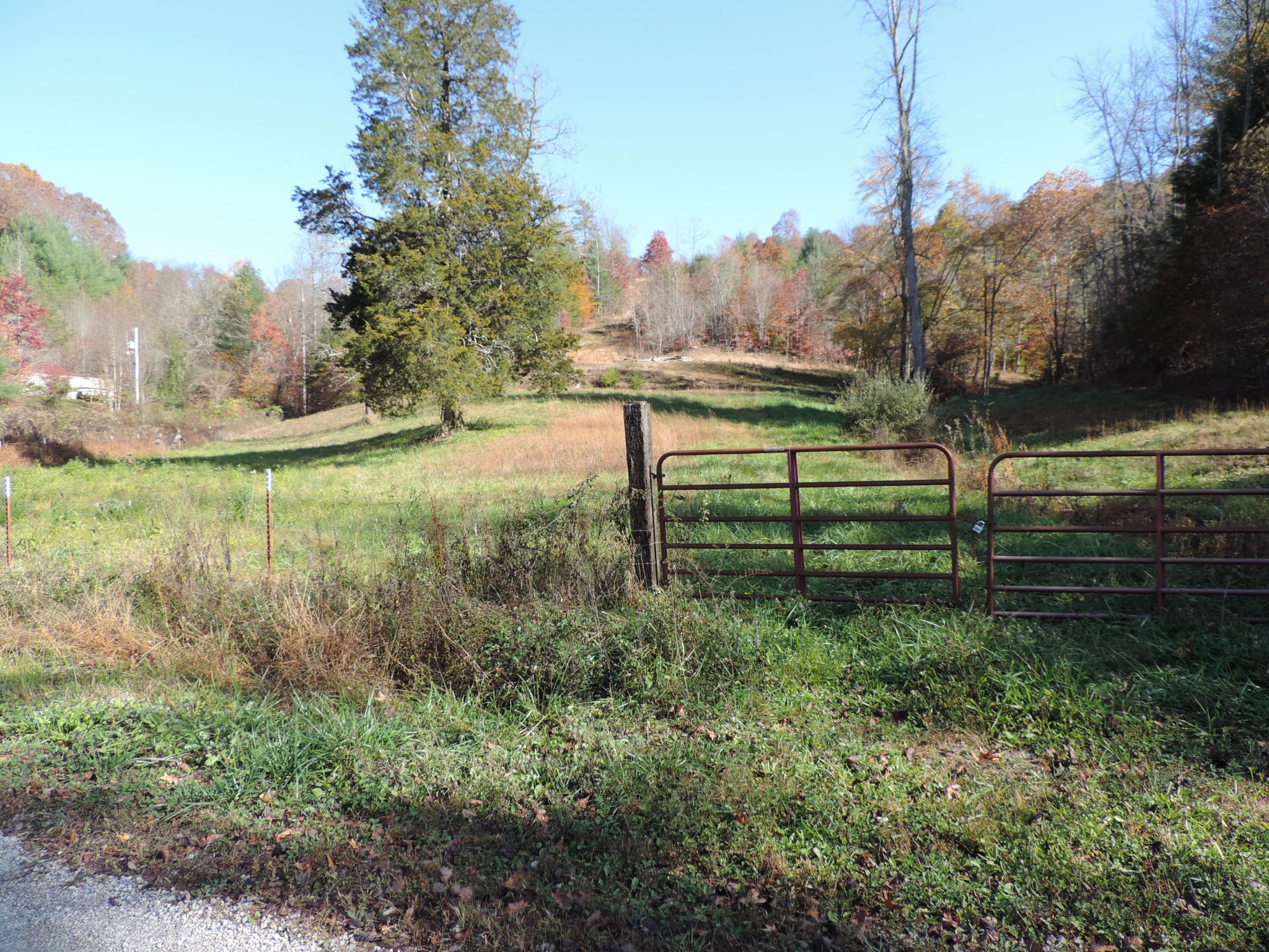 0 Phillips Cemetery Road Helenwood, TN 37755 - Photo 10 of 20 Gallery Image 10