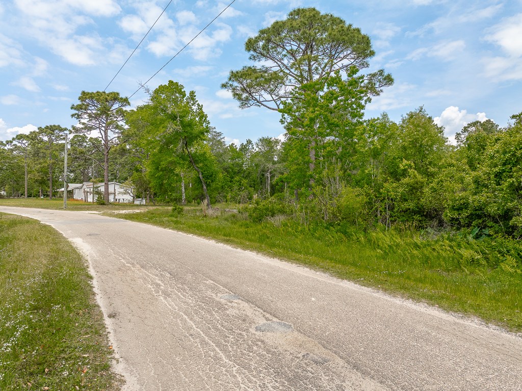 111 Carlton Millender Road Carrabelle, FL 32322 - Photo 6 of 11 Gallery Image 6