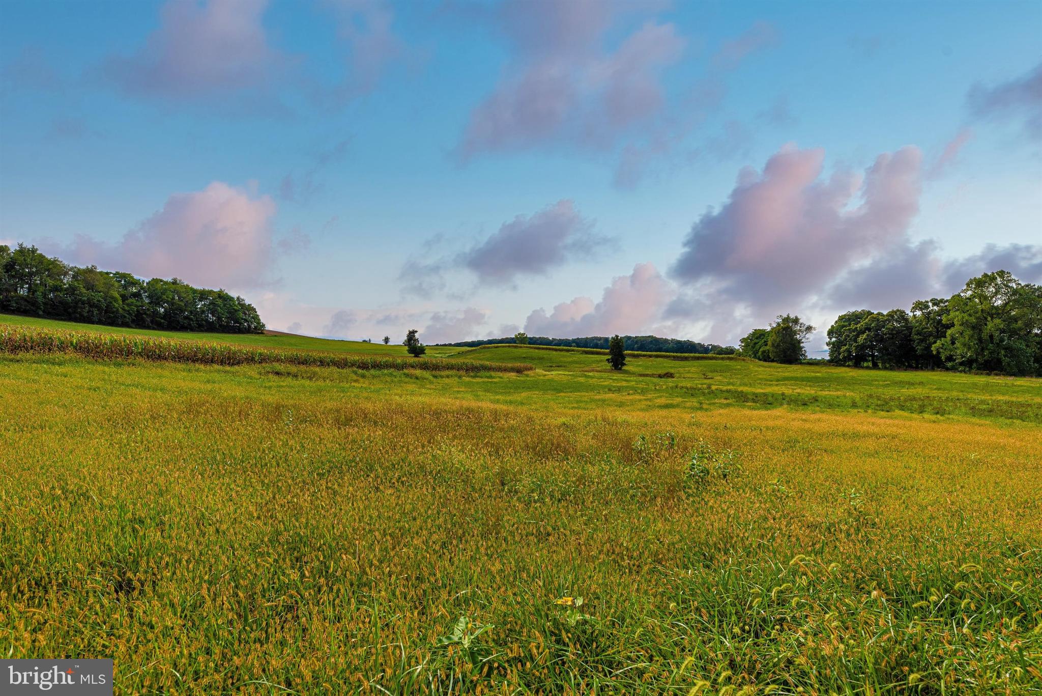 12030 Lookingbill Road Keymar, MD 21757 - Photo 19 of 58 25 acres to enjoy or lease to farm