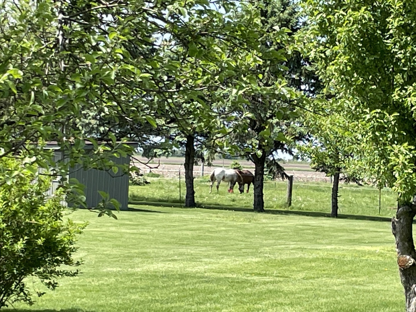 1685 West Mine Road Mazon, IL 60444 - Photo 12 of 48 a view of white ground with green space