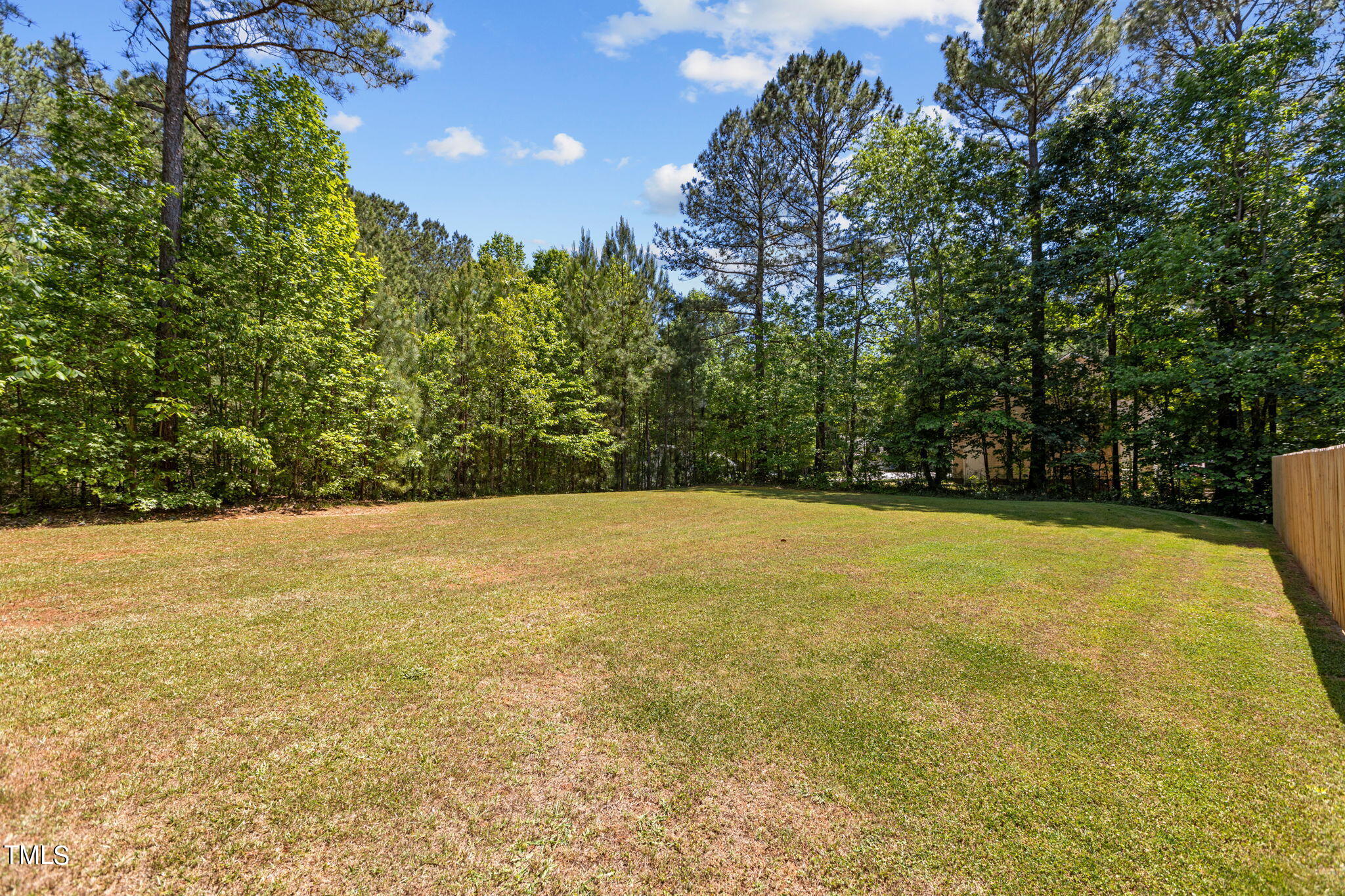 1933 Middle Ridge Drive Willow Spring, NC 27592 - Photo 41 of 45 Middle Ridge side yard 3