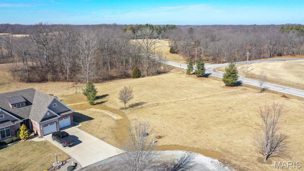 0 Stone Circle Drive Brighton, IL 62012 - Photo 4 of 6