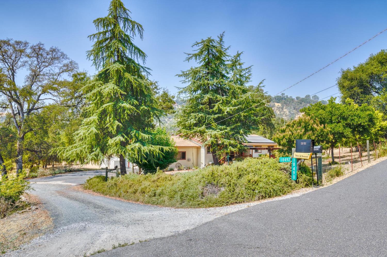 18490 Railbed Road Jamestown, CA 95327 - Photo 2 of 53 a view of a park with plants and trees