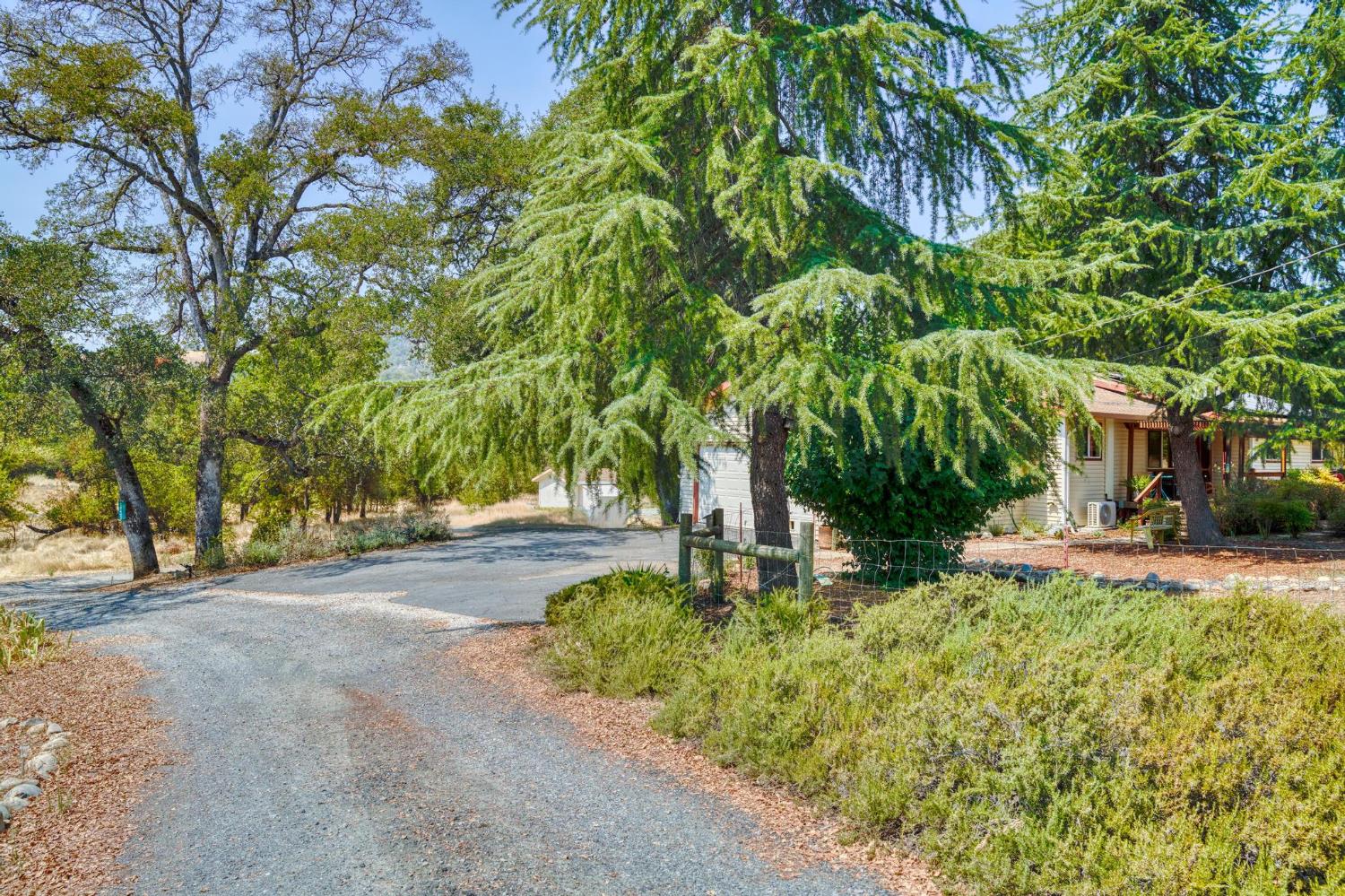 18490 Railbed Road Jamestown, CA 95327 - Photo 3 of 53 a garden with trees in front of it