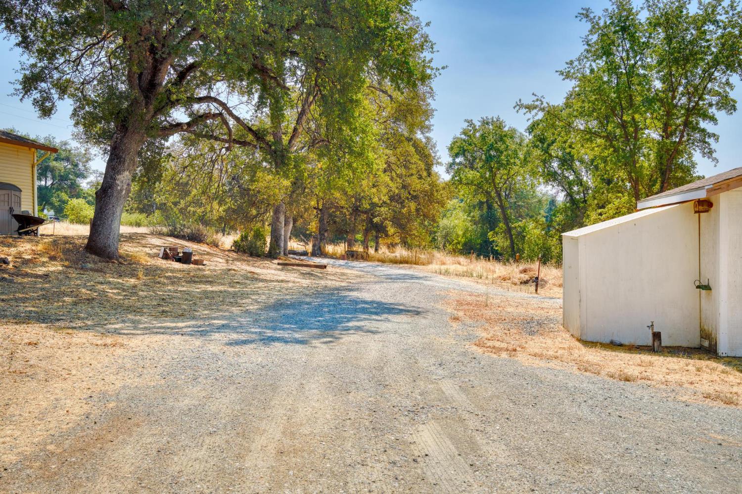18490 Railbed Road Jamestown, CA 95327 - Photo 45 of 53 a view of a outdoor space with a tree