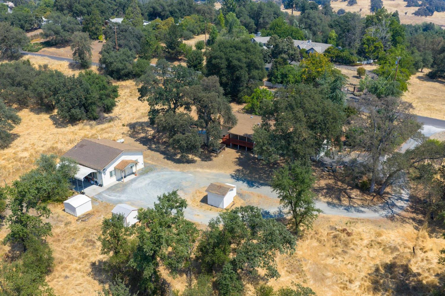 18490 Railbed Road Jamestown, CA 95327 - Photo 6 of 53 a view of a tree in a field
