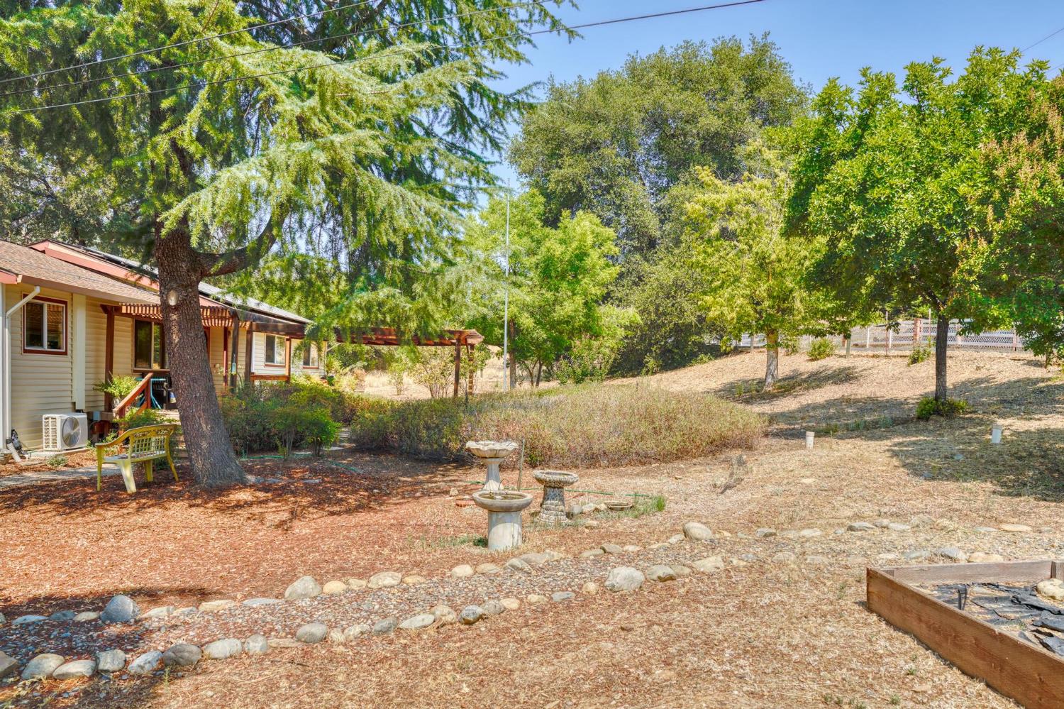 18490 Railbed Road Jamestown, CA 95327 - Photo 9 of 53 a view of a outdoor space with a tree