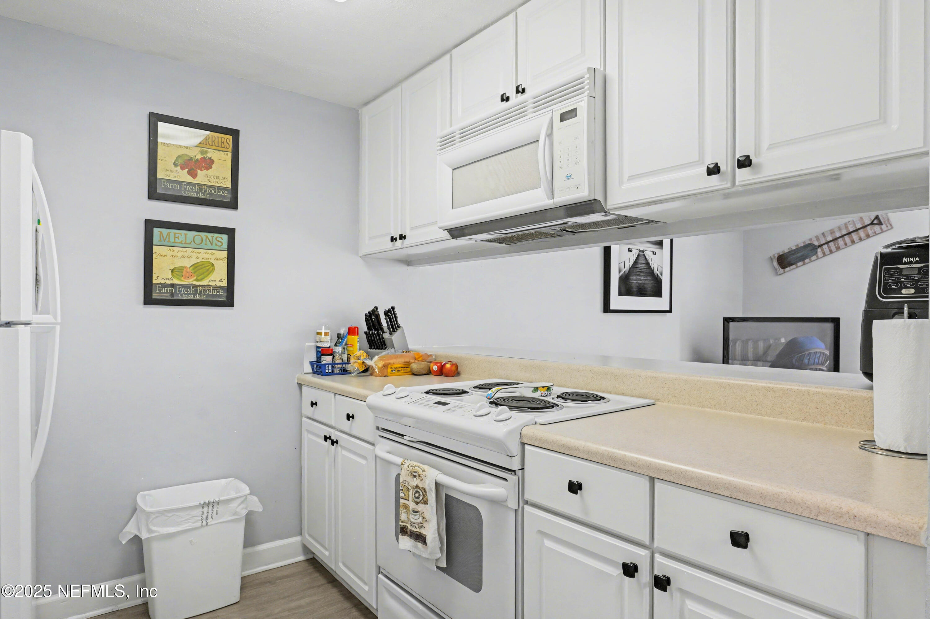 102 River Bend Road, Unit A Welaka, FL 32193 - Photo 22 of 39 a view of a kitchen with appliances and cabinets