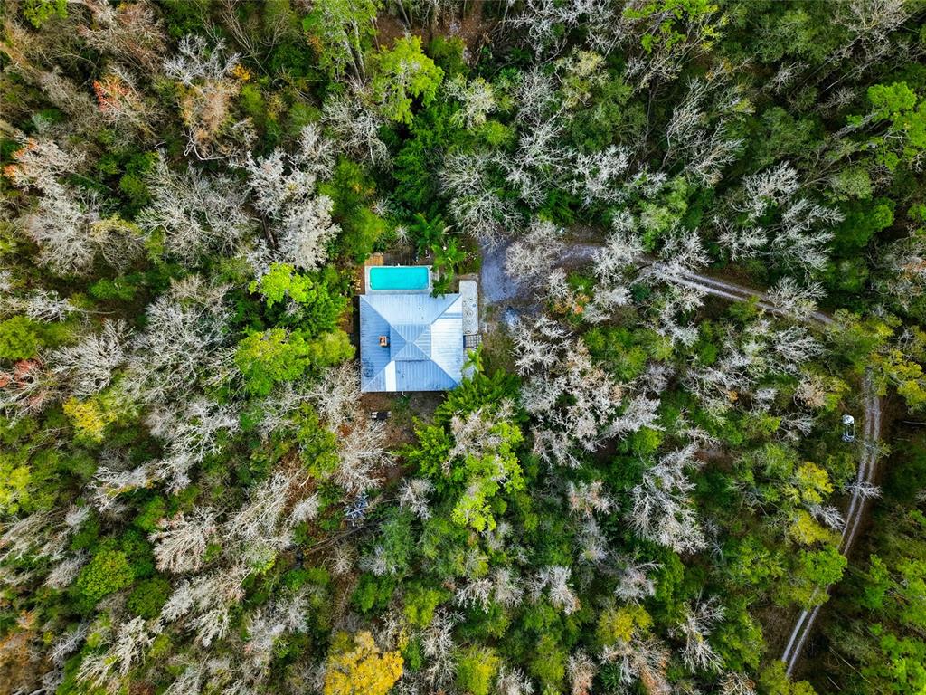 5201 Neff Lake Road Brooksville, FL 34601 - Photo 25 of 26