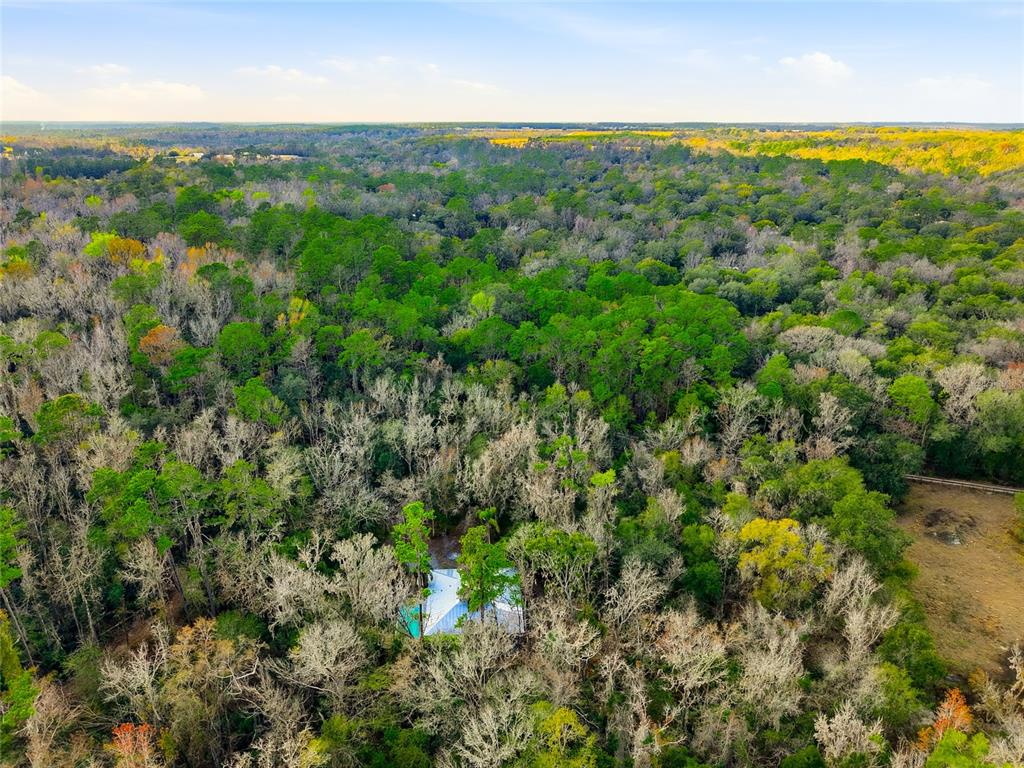 5201 Neff Lake Road Brooksville, FL 34601 - Photo 26 of 26