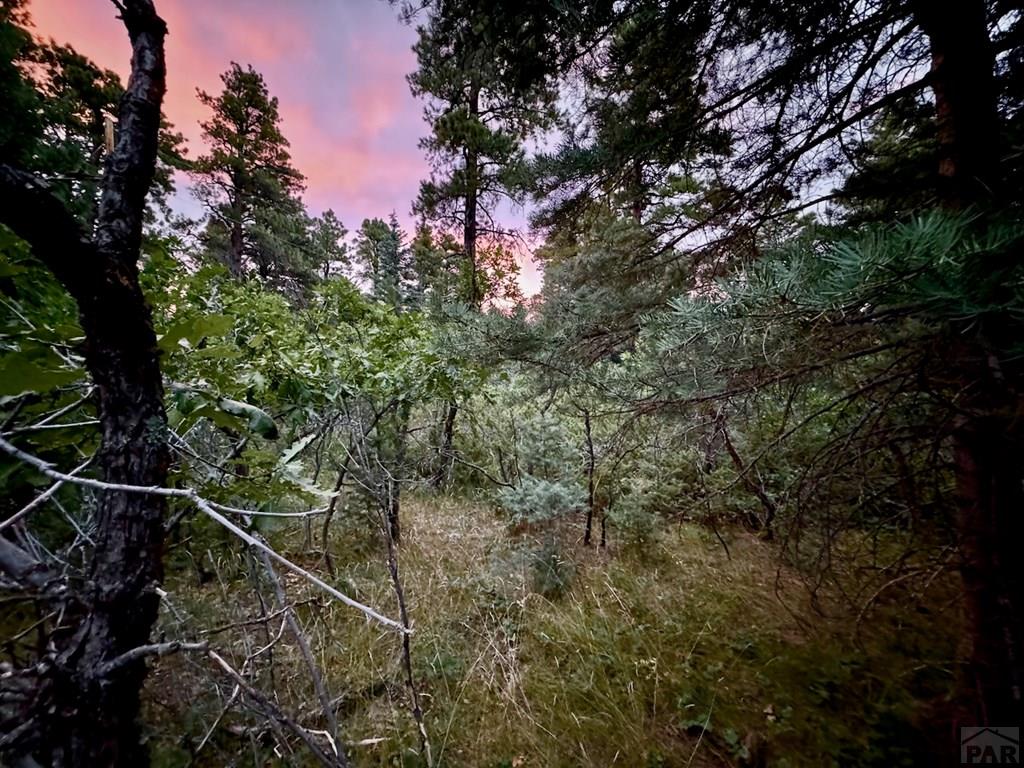 6-7 Robin Hood Trail Rye, CO 81069 - Photo 8 of 15