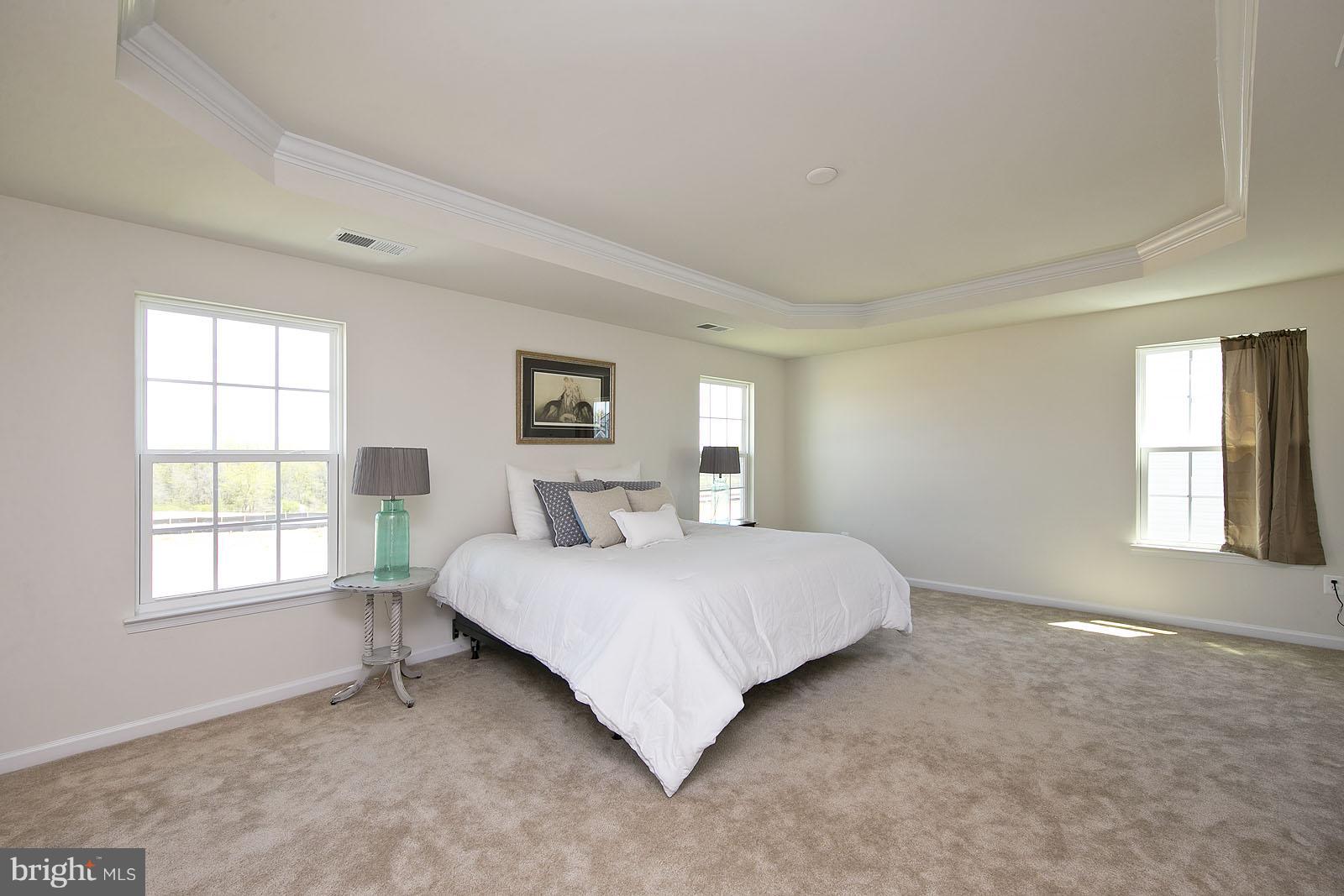 118 Rooftop Court Stephenson, VA 22656 - Photo 23 of 30 Bedroom (Master)