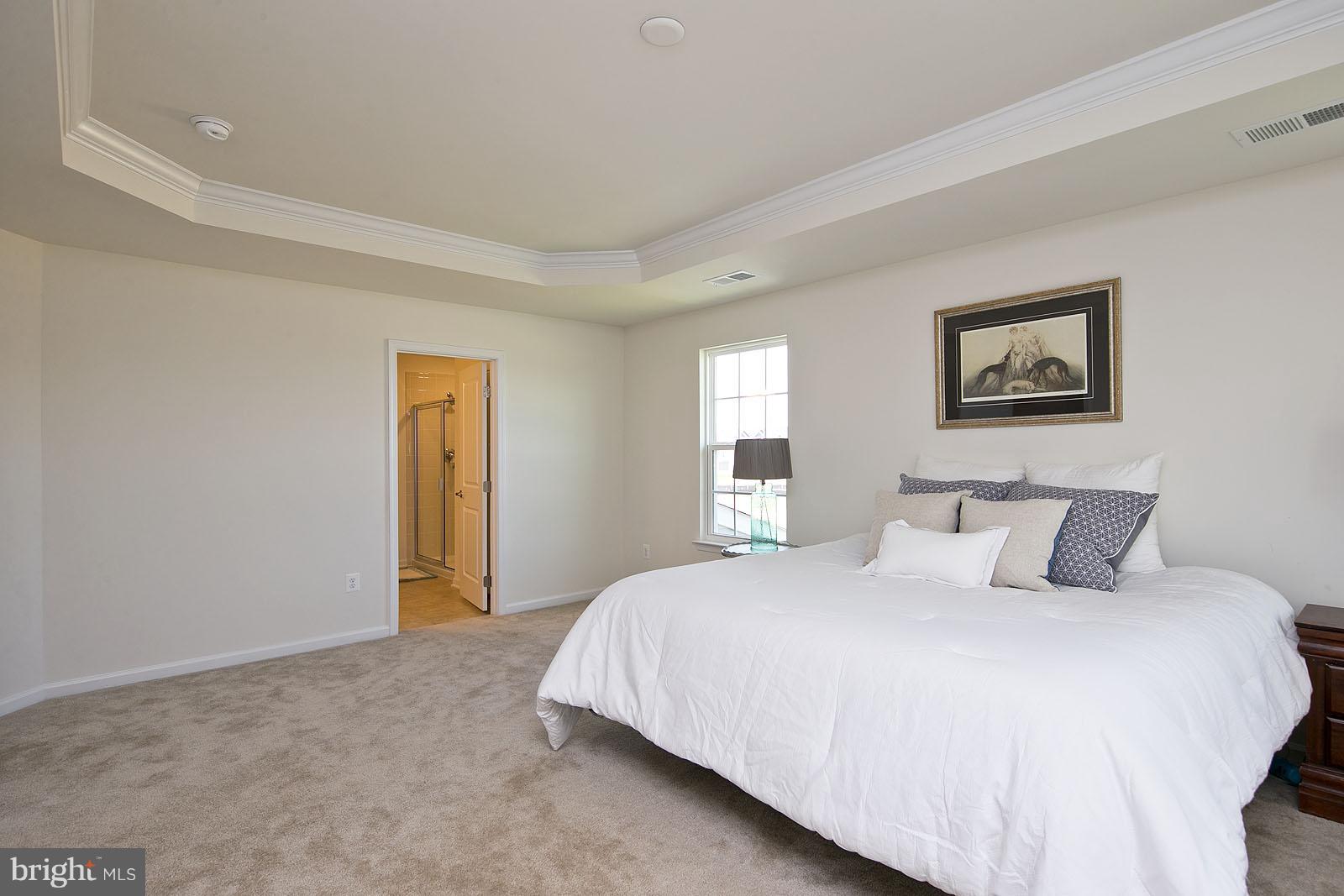 118 Rooftop Court Stephenson, VA 22656 - Photo 24 of 30 Bedroom (Master)