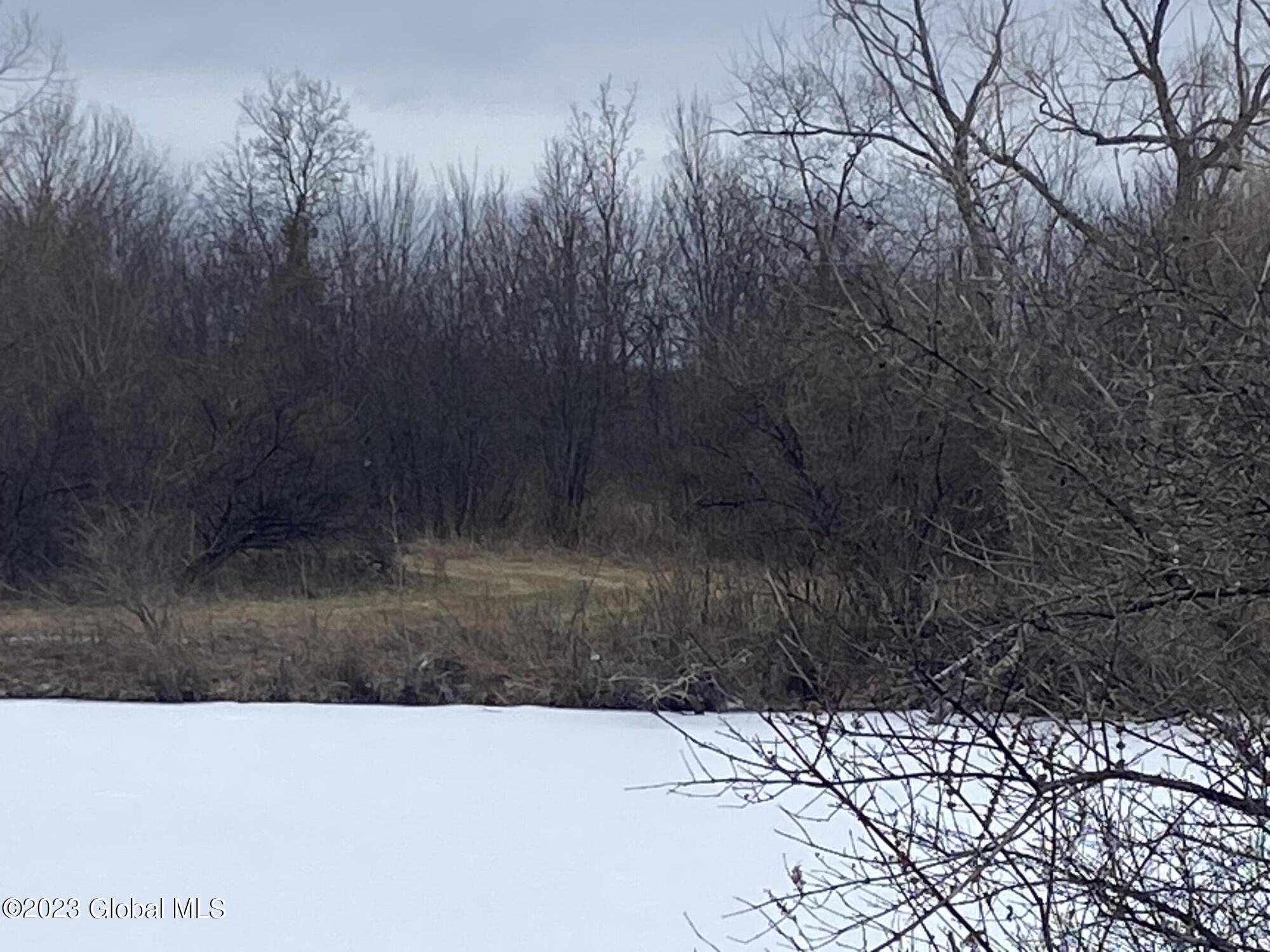 187 Dopp Road Root, NY 12166 - Photo 13 of 20 IMG_2221